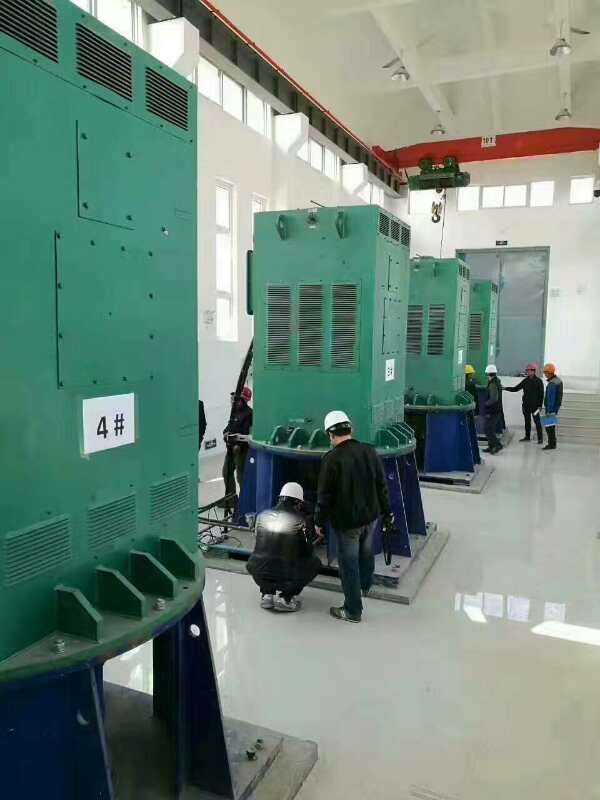 YRKK8002-6某污水处理厂使用我厂的立式高压电机安装现场